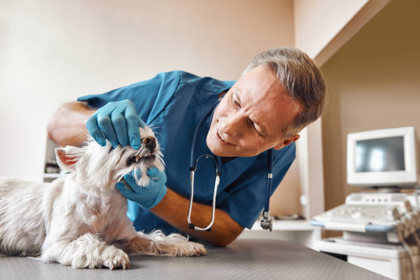 Best 24-Hour Emergency Dentist in Mystic Island, NJ